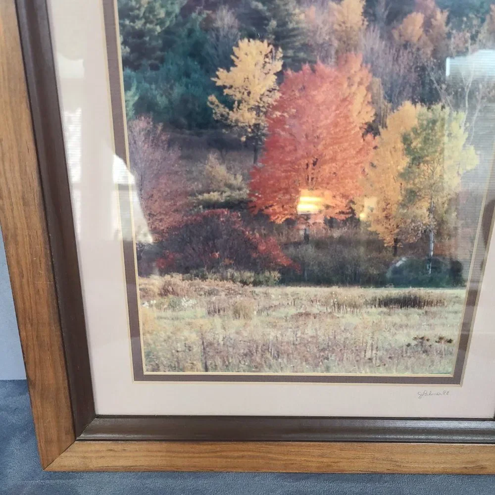 Vintage Autumn Fall Photography Wall Hanging Framed and Matted J Palmer 1988